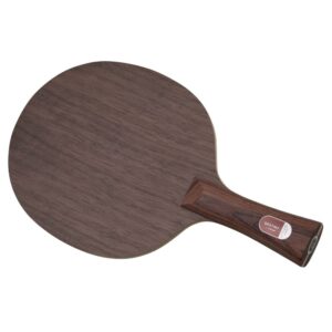 Stiga Destiny Carbon